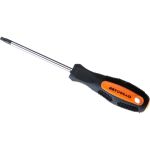 Отвертка АвтоDело TORX T25x100 мм на держателе 30825 12662 (артикул 16005052) – фото 1