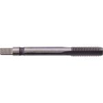 Метчик м/р SDW TOOLS М6,0х1,0 P6M5 для глух. с прох. хв. ta00116 (артикул 16805833) – фото 1