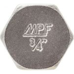 Заглушка на трубу 3/4" в MPF NS, MP-У ИС.072284 (артикул 15621468) – фото 1