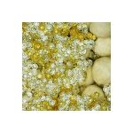 Ионообменная смола микс Ecvols SoftEx C 5 л 00.00006154 (артикул 18110533) – фото 1