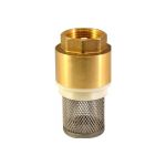 Обратный клапан СТМ с сеткой 1" CBCVF001 (артикул 16199356) – фото 1