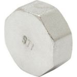 STI Заглушка латуннаяДу20 (3/4") Ру16 внутренняя резьба никелированная D270-00247 (артикул 20534254) – фото 1