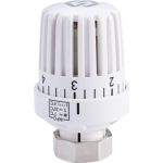Термостатическая головка с жидкостным датчиком MVI 30x1,5 TR.550.01 (артикул 26152775) – фото 1