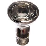 Зеркальная электрическая лампа накаливания MIC Camelion 40/R63/E27, 8979 (артикул 15590630) – фото 1