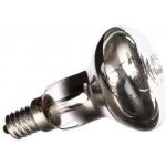 Зеркальная электрическая лампа накаливания MIC Camelion 40/R50/E14, 8977 (артикул 15084410) – фото 1