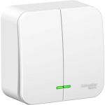 2-клавишный выключатель с подсветкой Schneider Electric BLANCA, О/У, 6А, 250B, белый BLNVA065111 (артикул 16313830) – фото 1