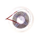 Лента Jazzway PLS 2835/120-12V - W IP20 5m белый свет 2859051 (артикул 17387322) – фото 1