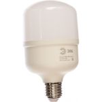 Светодиодная лампа ЭРА LED smd POWER 20W-2700-E27 Б0027000 (артикул 15627133) – фото 1