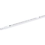 Лампа IEK LED T8 линейная 18вт 230В 4000К G13LLE-T8-18-230-40-G13 (артикул 16459941) – фото 1