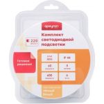 Комплект светодиодной ленты Apeyron 220В с аксессуарами 10-58 (артикул 15830051) – фото 1