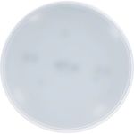 Светодиодная лампа IN HOME LED-GX70-VC 16Вт, 230В, 6500К, 1280Лм 4690612021492 (артикул 16146128) – фото 1