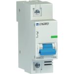 Автоматический выключатель Engard ВА47-100 1р C80 10кА VA47100-1C-80 (артикул 16875109) – фото 1