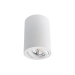 Потолочный светильник Arte Lamp A1560PL-1WH (артикул 16269190) – фото 1