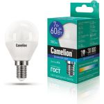Светодиодная лампа Camelion LED7-G45/865/E14 7Вт 220В 12646 (артикул 15905347) – фото 1