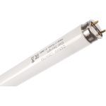 Люминесцентная лампа L 36W/765 G13 дневного цвета OSRAM 4008321959836 (артикул 15537294) – фото 1