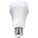 Светодиодная лампа Ergolux LED-A70-35W-E27-6K ЛОН, 35Вт, E27, 6500K, 180-240В 14232 (артикул 16392494) – фото 1