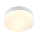 Потолочный светильник ARTE LAMP A6047PL-1WH (артикул 20886117) – фото 1