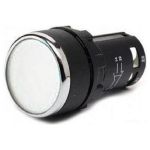 Нажимная кнопка Emas моноблочная, 22 мм, IP 40, 1НО белая MB100DB (артикул 16881595) – фото 1