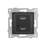 Механизм розетки GUSI ELECTRIC Ugra USB, двойной, СУ, графит С11USB2-010 (артикул 16032654) – фото 1