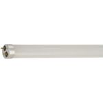 Лампа Gauss Elementary, T8, 24W, 2000lm, 6500K, G13, 1200mm, стекло, LED, 1/20 93034 (артикул 16436823) – фото 1