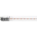 Лампа для растений Jazzway PLED T8 1200 Agro 16w CL G13 5025912 (артикул 16091460) – фото 1
