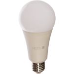 Лампа Gauss LED Elementary A67 25W E27 2100lm 4100K 73225 (артикул 15869325) – фото 1