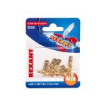 Плоская клемма штекер REXANT 6,3 мм РП-п 1.5-(6.3) L25,5 мм латунь 10 шт 06-0396-A (артикул 21030676) – фото 1
