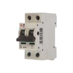 Выключатель нагрузки ЭРА NO-902-91 ВН-32 2P 40A Б0031915 (артикул 15759706) – фото 1