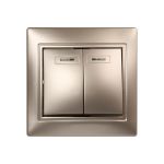 Выключатель Smartbuy 2-клавишный с индикатором 10А шампань, Венера SBE-01c-10-SW2-1-c (артикул 16049686) – фото 1