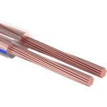 Акустический кабель REXANT 2х0,25 кв.мм прозрачный BLUELINE 01-6201-3-05 (артикул 16197197) – фото 1