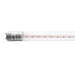 Лампа для растений Jazzway PLED T8 600 Agro 8w CL G13 5025899 (артикул 16091711) – фото 1