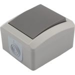 Одноклавишный накладной выключатель KRANZ IP54 серый KR-78-0608 (артикул 18107269) – фото 1