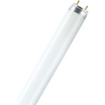 Линейная люминесцентная лампа OSRAM L 18W/77 10X1 CRP 4058075402829 (артикул 18295201) – фото 1