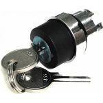 Головка переключателя Briswik 22мм 2 поз ключ фиксация металл КПЕ 11КС IP40 LAY4-BG2.BR (артикул 19644720) – фото 1