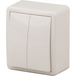 Двойной выключатель ЭРА 11-1204-02 10АХ-250В, IP20, ОУ, Эксперт, сл.кость Б0020664 (артикул 15980797) – фото 1