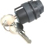 Головка переключателя Briswik 22мм 3 поз ключ возврат КПЕ 41К IP40 LAY4-EG5.BR (артикул 19644702) – фото 1