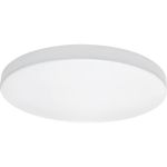 Потолочный светодиодный светильник Lightstar 225202 (артикул 18240961) – фото 1