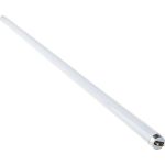 Линейная люминесцентная лампа OSRAM L 30W/640 25X1 LF 4008321959690 (артикул 18294643) – фото 1