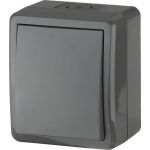 Выключатель ЭРА 11-1401-03 IP54, 10АХ-250В, ОУ, Эксперт, серый Б0020670 (артикул 15980792) – фото 1