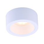 Потолочный светильник Arte Lamp A5553PL-1WH (артикул 16269061) – фото 1