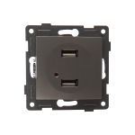 Розетка USB GUSI ELECTRIC Bravo двойная, СУ, серебро С10USB2-004 (артикул 16032709) – фото 1