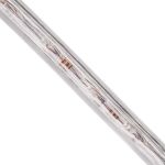 NEON-NIGHT Светодиодный гибкий шнур Дюралайт бухта 100м 24 LED/метр, цвет свечения: белый 121-125-4 (артикул 15993179) – фото 1