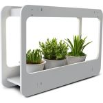 Светильник Jazzway PMG 002 LED 14w 4000K подставка для цветов 5009554 (артикул 16091400) – фото 1