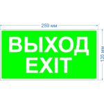 Самоклеящаяся этикетка ЭРА INFO-SSA-116 пленка бэклит Выход-exit зеленая для SSA-103, 2 шт., Б0057712 (артикул 23142783) – фото 1