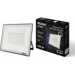 Светодиодный прожектор RITTER серия PROFI 230В 100 Вт 4000К 10000Лм IP65 черный 53419 2 (артикул 23833917) – фото 1