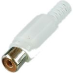 Разъем RCA гнездо Pro Legend пластик на кабель, белый, PL2155 (артикул 24606723) – фото 1