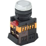 Кнопка IEK ABLFS-22 белый неон, 1з+1р, ИЭК BBT30-ABLFS-K01 (артикул 15164639) – фото 1