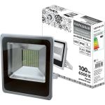 Светодиодный прожектор TDM СДО100-2-Н 100 Вт, 6500 К, серый SQ0336-0210 (артикул 18148705) – фото 1
