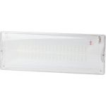 Светодиодный аварийный постоянный светильник ЭРА DPA301165 40LED 3ч IP65 NiCD Б0051843 (артикул 19466616) – фото 1
