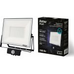 Светодиодный прожектор RITTER серия PROFI 230В 100 Вт 6500К 10000Лм IP65 черный с датчиком движения 53424 6 (артикул 23834001) – фото 1